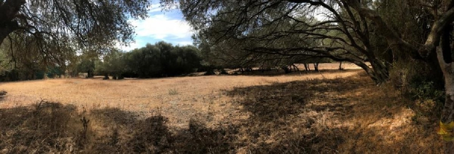 till salu tomt Palaudalba Vallès Oriental 4