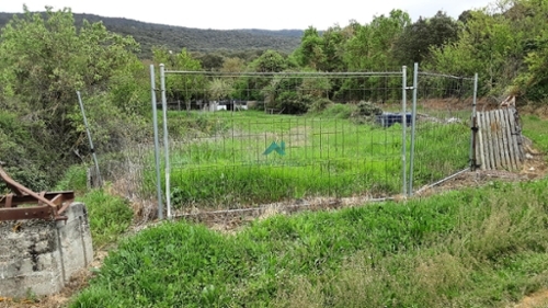 Pangua Ebro tomt foto 6259982