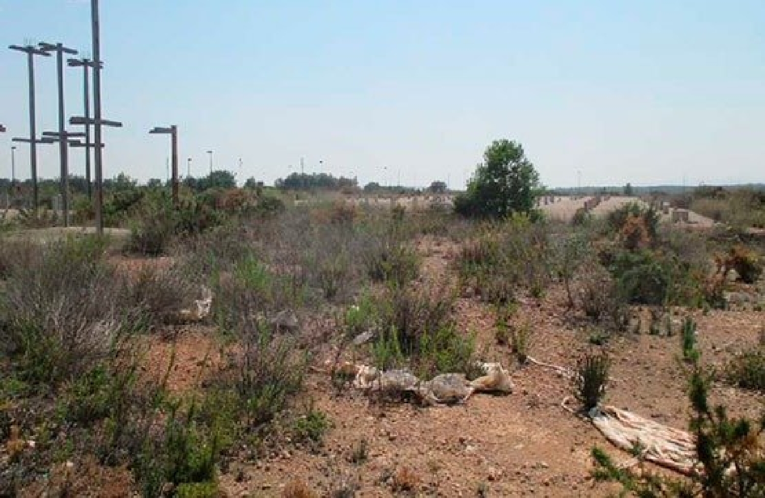 till salu tomt Panorámica Baix Maestrat 2