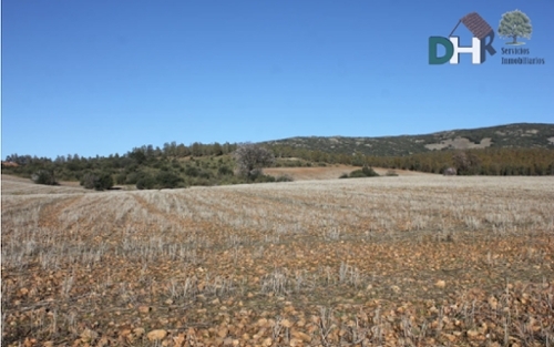 Pardaleras-Ciudad Jardín Badajoz tomt foto 6257770