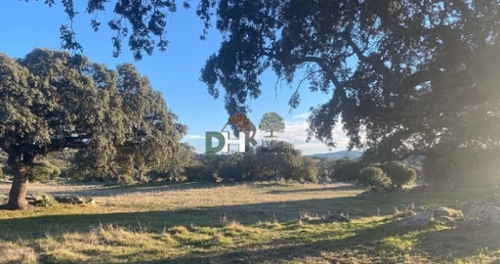 Pardaleras-Ciudad Jardín Badajoz tomt foto 6257884