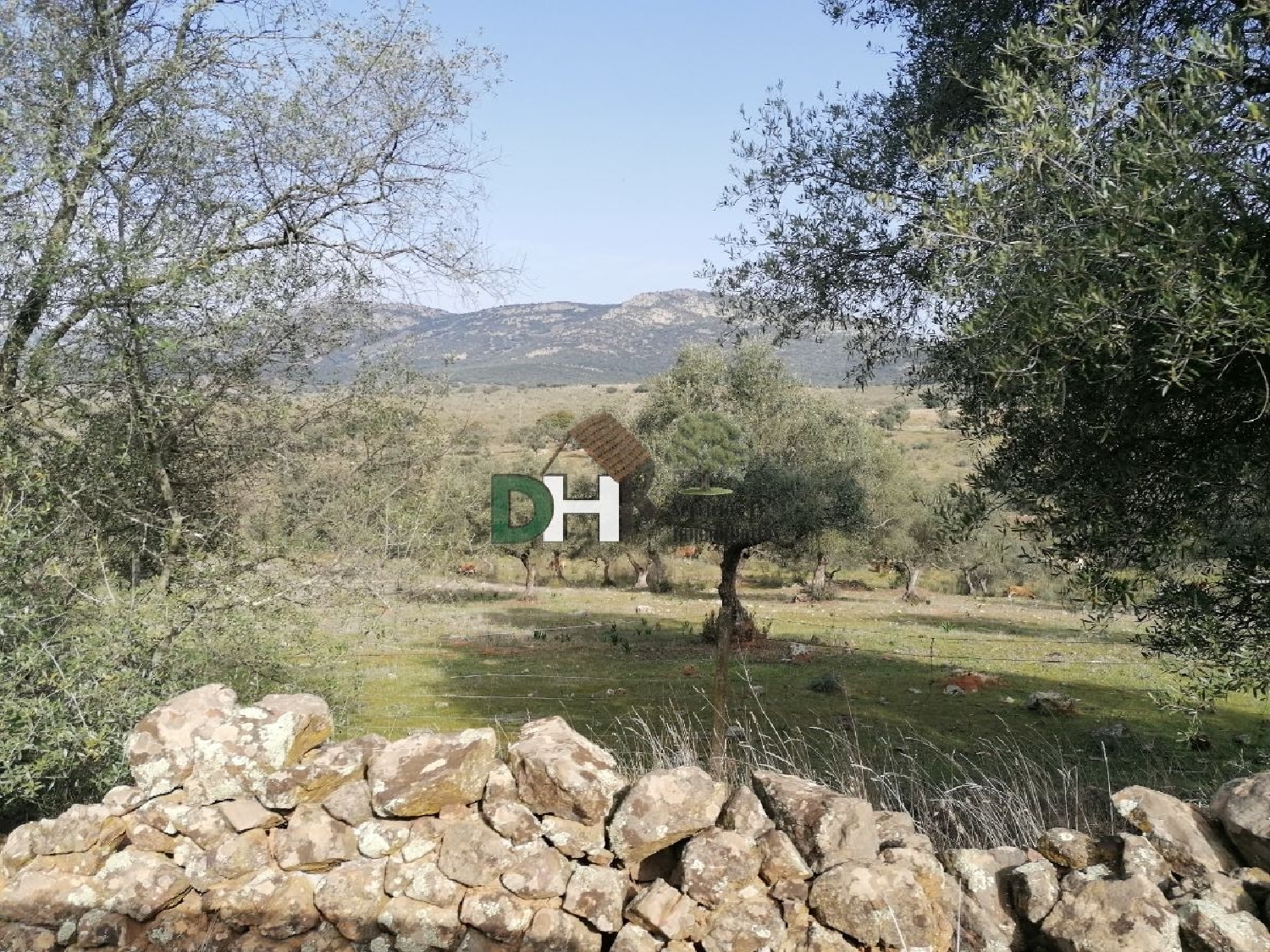  till salu tomt Pardaleras-Ciudad Jardín Badajoz 7