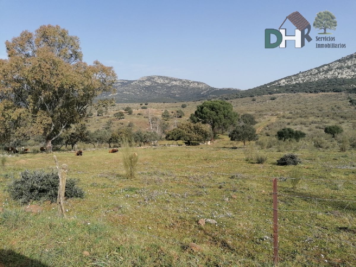  till salu tomt Pardaleras-Ciudad Jardín Badajoz 5