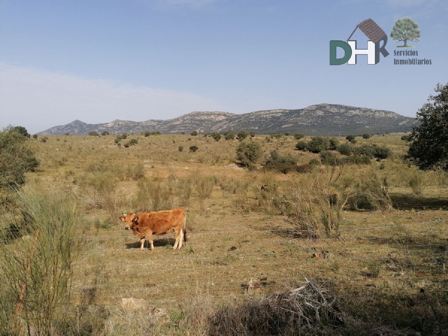  till salu tomt Pardaleras-Ciudad Jardín Badajoz 1