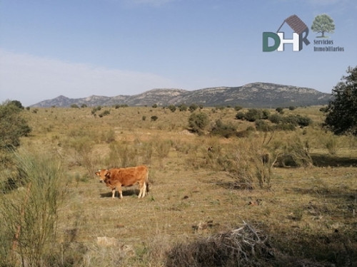 Pardaleras-Ciudad Jardín Badajoz tomt foto 6258004