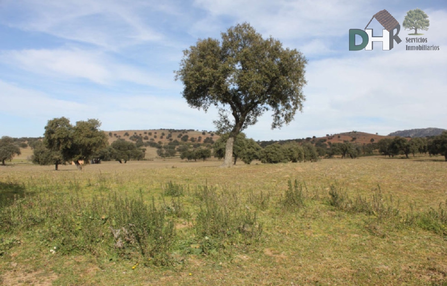 till salu tomt Pardaleras-Ciudad Jardín Badajoz 3