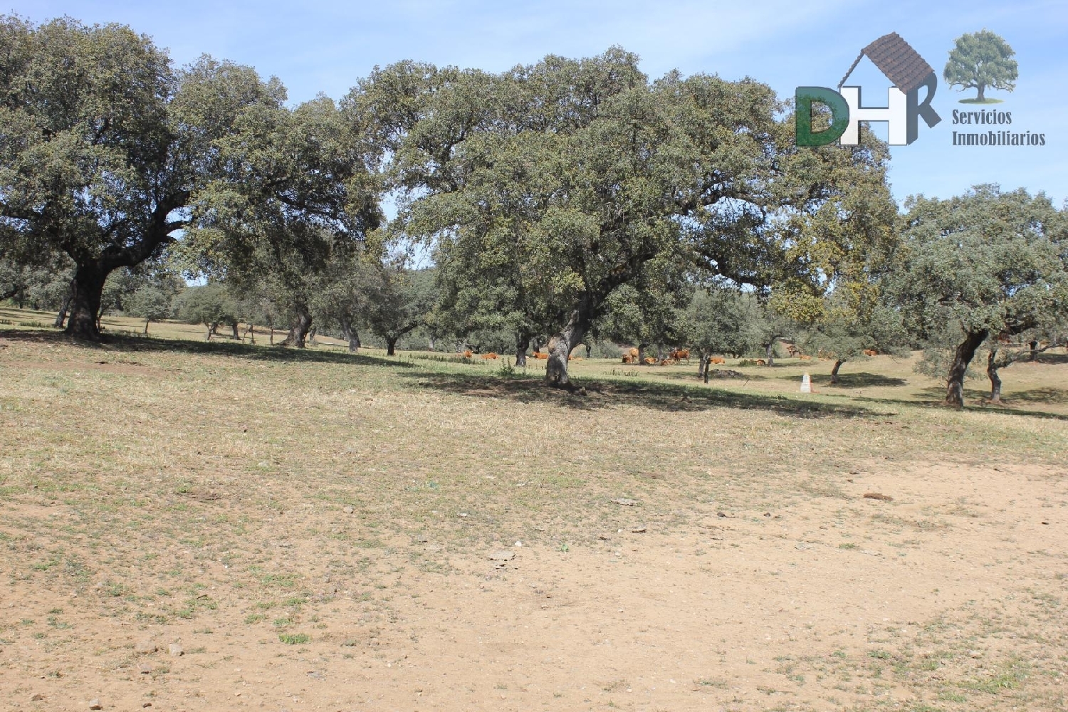  till salu tomt Pardaleras-Ciudad Jardín Badajoz 4