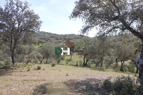 Pardaleras-Ciudad Jardín Badajoz tomt foto 6258185