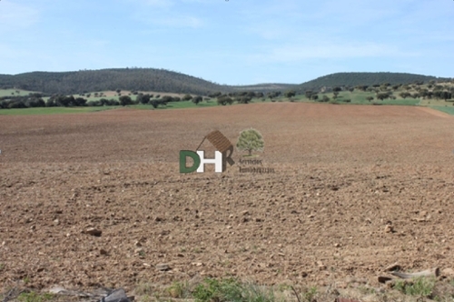 Pardaleras-Ciudad Jardín Badajoz tomt foto 6258292
