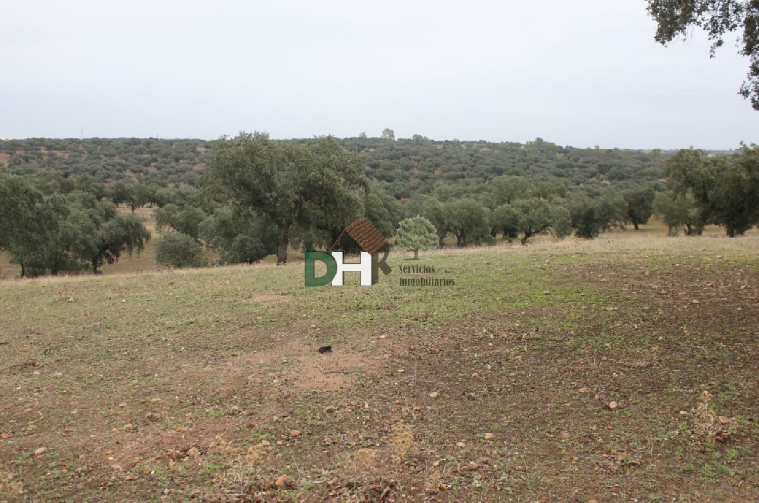 till salu tomt Pardaleras-Ciudad Jardín Badajoz 2