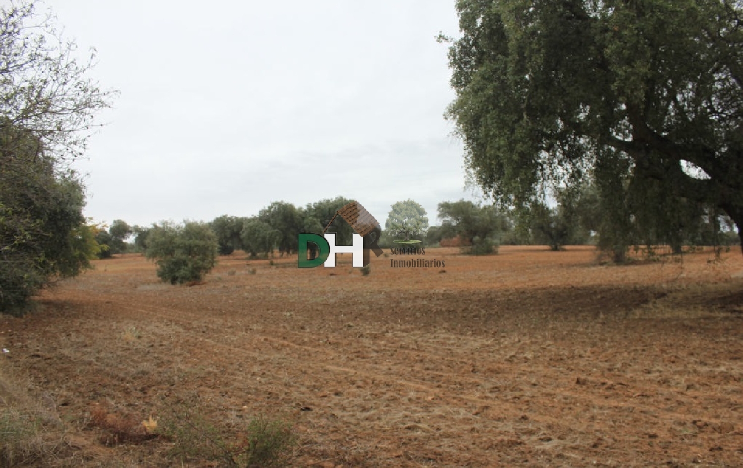 till salu tomt Pardaleras-Ciudad Jardín Badajoz 3