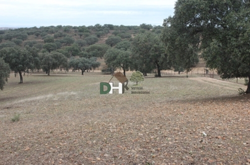 Pardaleras-Ciudad Jardín Badajoz tomt foto 6258335
