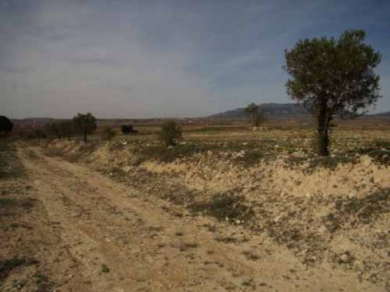 till salu tomt Tres Fuentes Vinalopó Mitjà 2