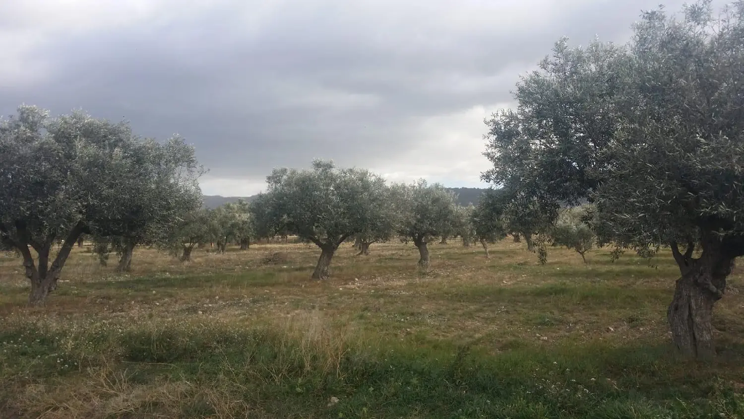  till salu tomt Galeras Altas Marina Baixa 1