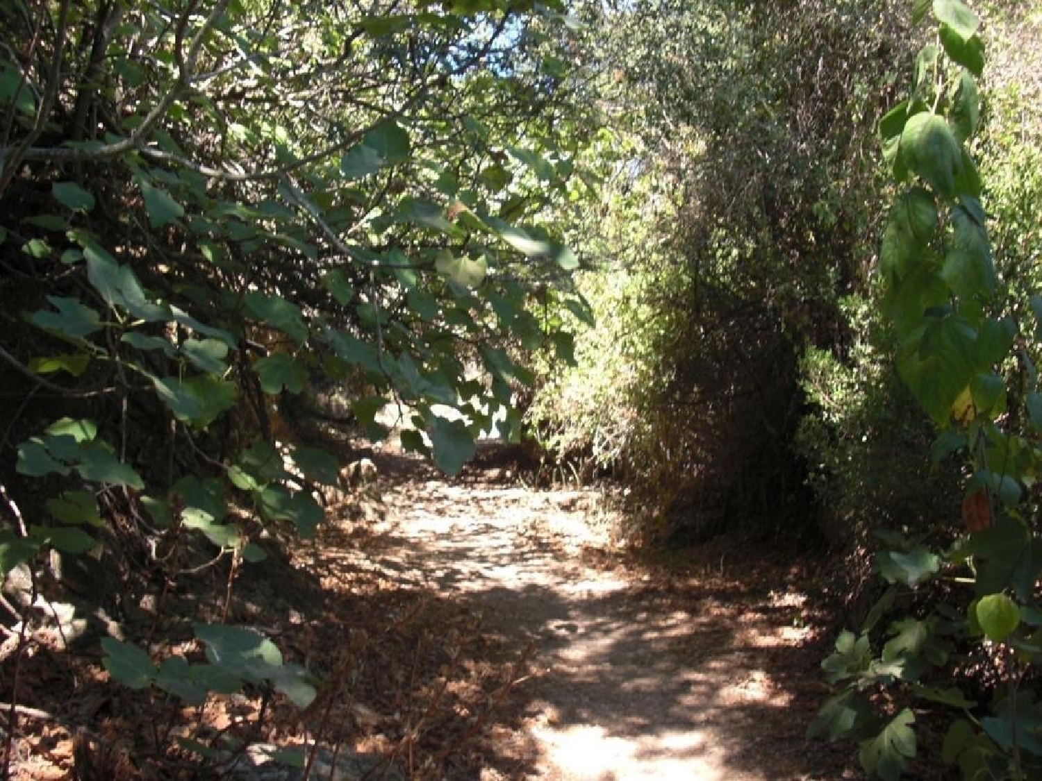 till salu tomt Parralejo Janda (La) 3