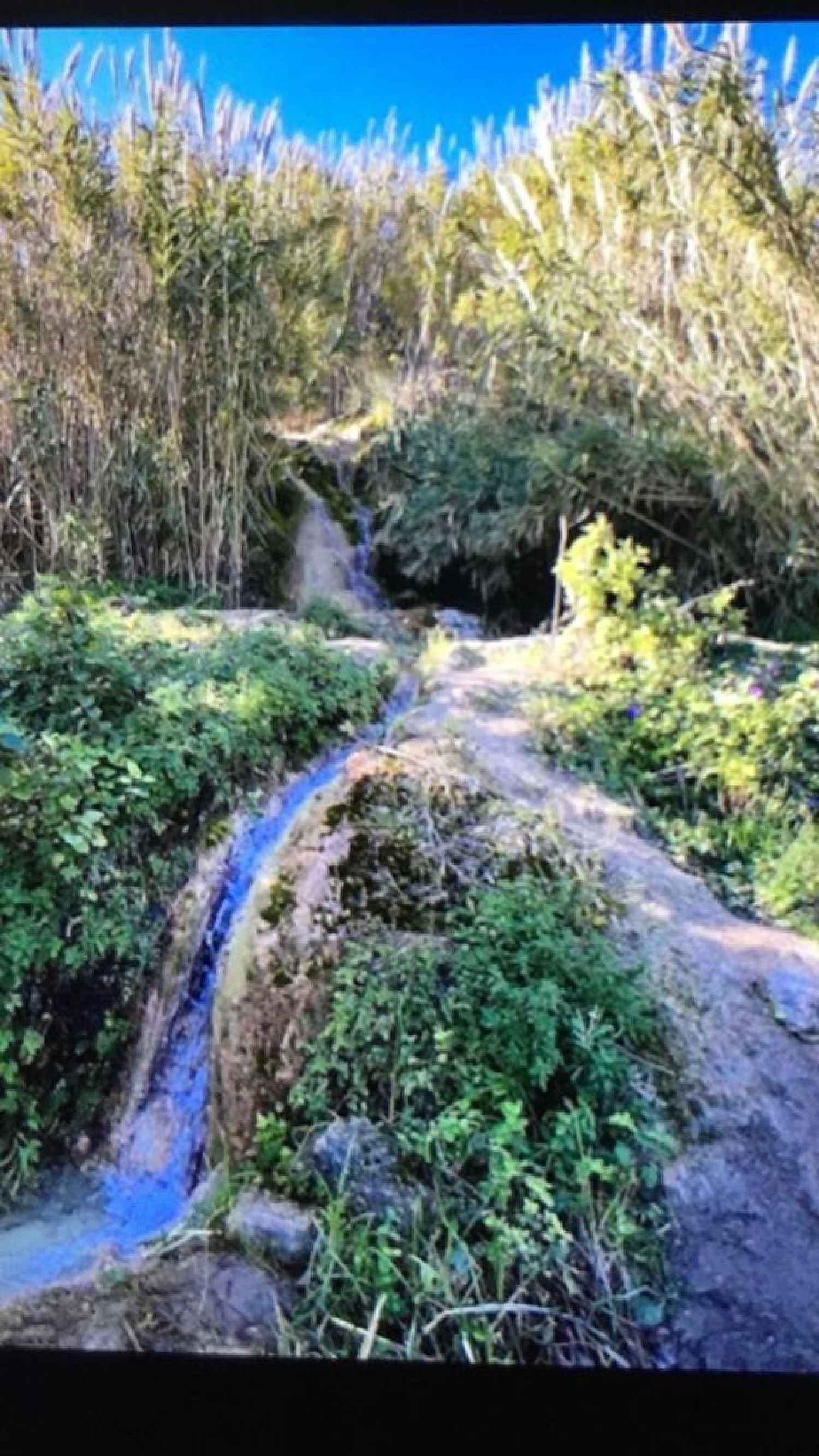  till salu tomt Parralejo Janda (La) 8