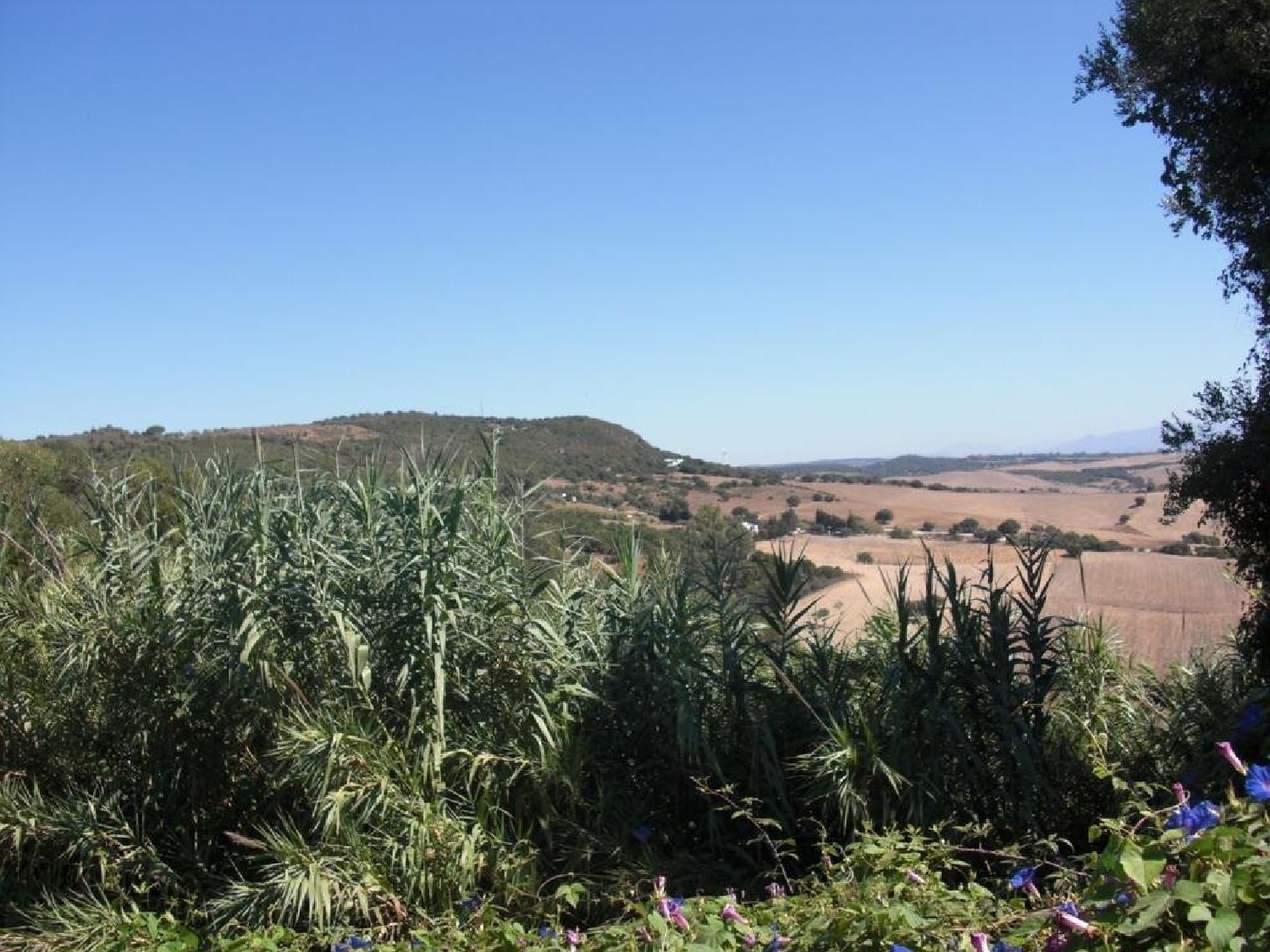  till salu tomt Parralejo Janda (La) 6