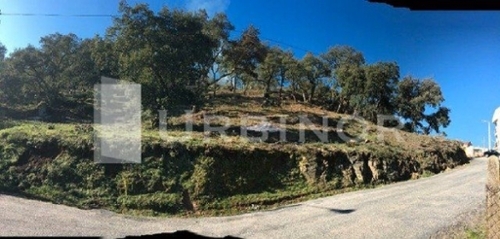 Pazos Ourense tomt foto 6255369