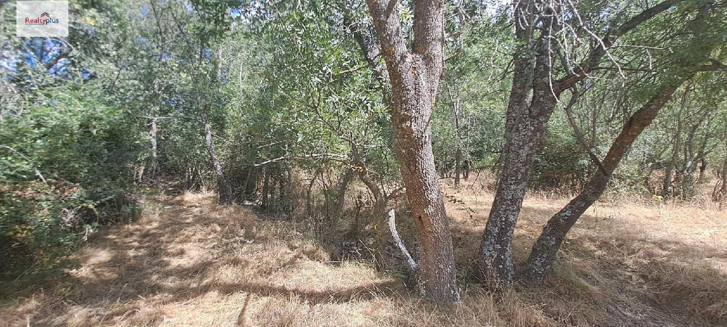  till salu tomt Pelayos Del Arroyo Segovia Sur 6