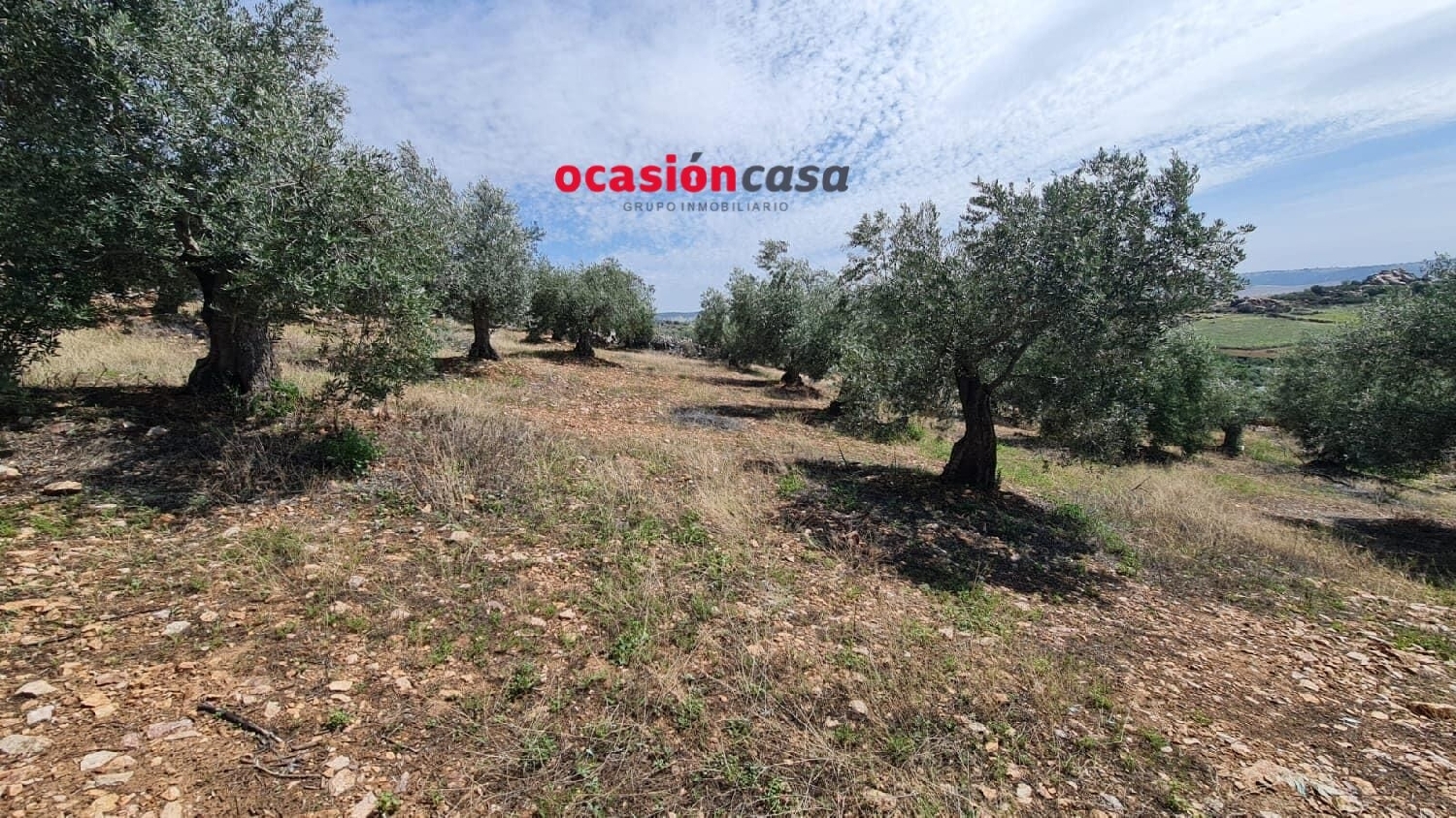  till salu tomt Peñarroya-Pueblonuevo Valle Del Guadiato 5