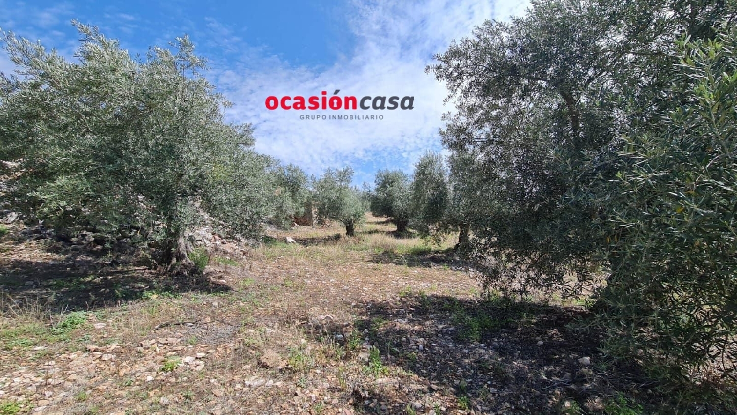  till salu tomt Peñarroya-Pueblonuevo Valle Del Guadiato 6