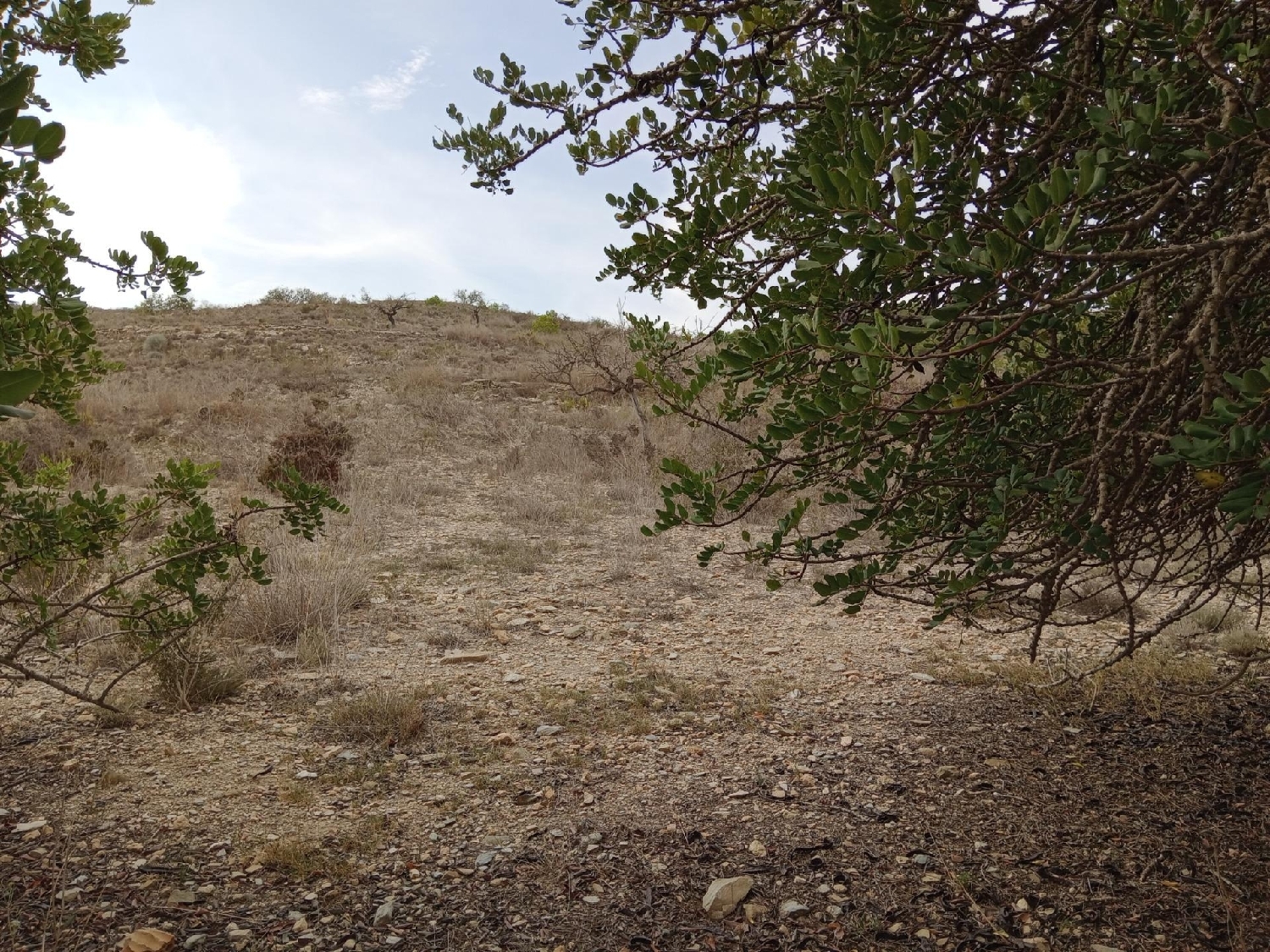  for sale plot Cuesta Blanca De Arriba Campo De Cartagena 5