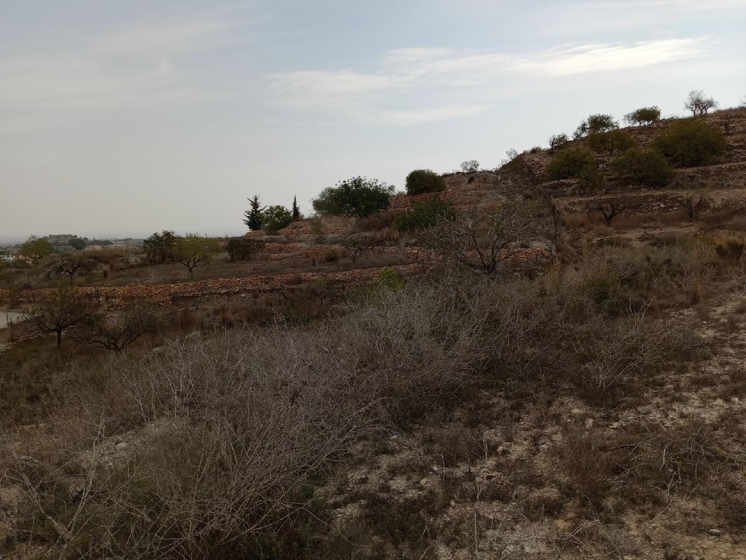  for sale plot Cuesta Blanca De Arriba Campo De Cartagena 6
