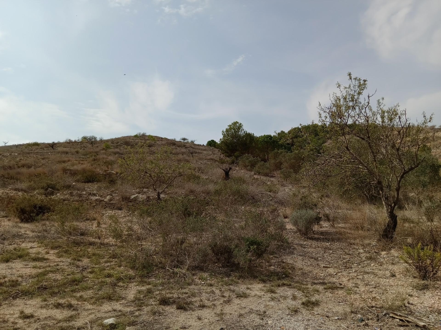 for sale plot Cuesta Blanca De Arriba Campo De Cartagena 3