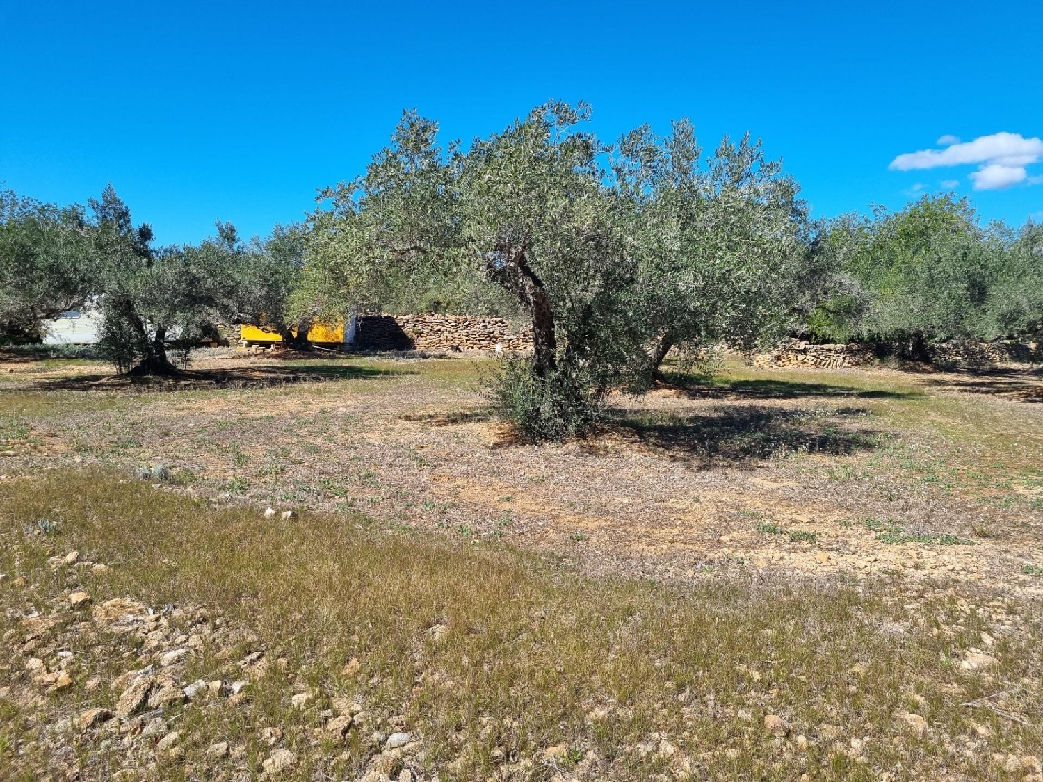  till salu tomt Perello-Mar Baix Ebre 7