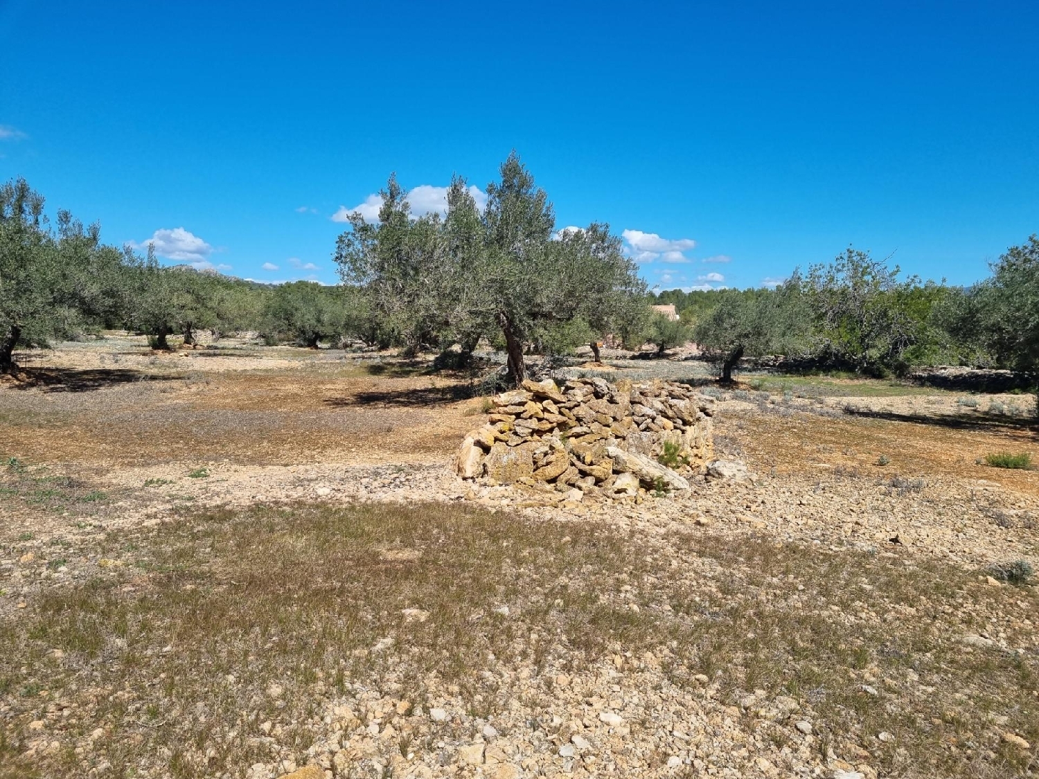  till salu tomt Perello-Mar Baix Ebre 8