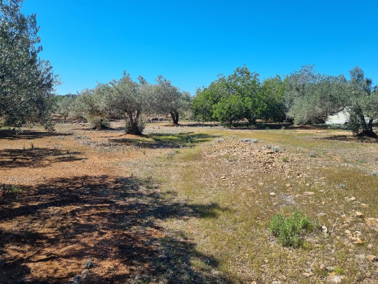  till salu tomt Perello-Mar Baix Ebre 6