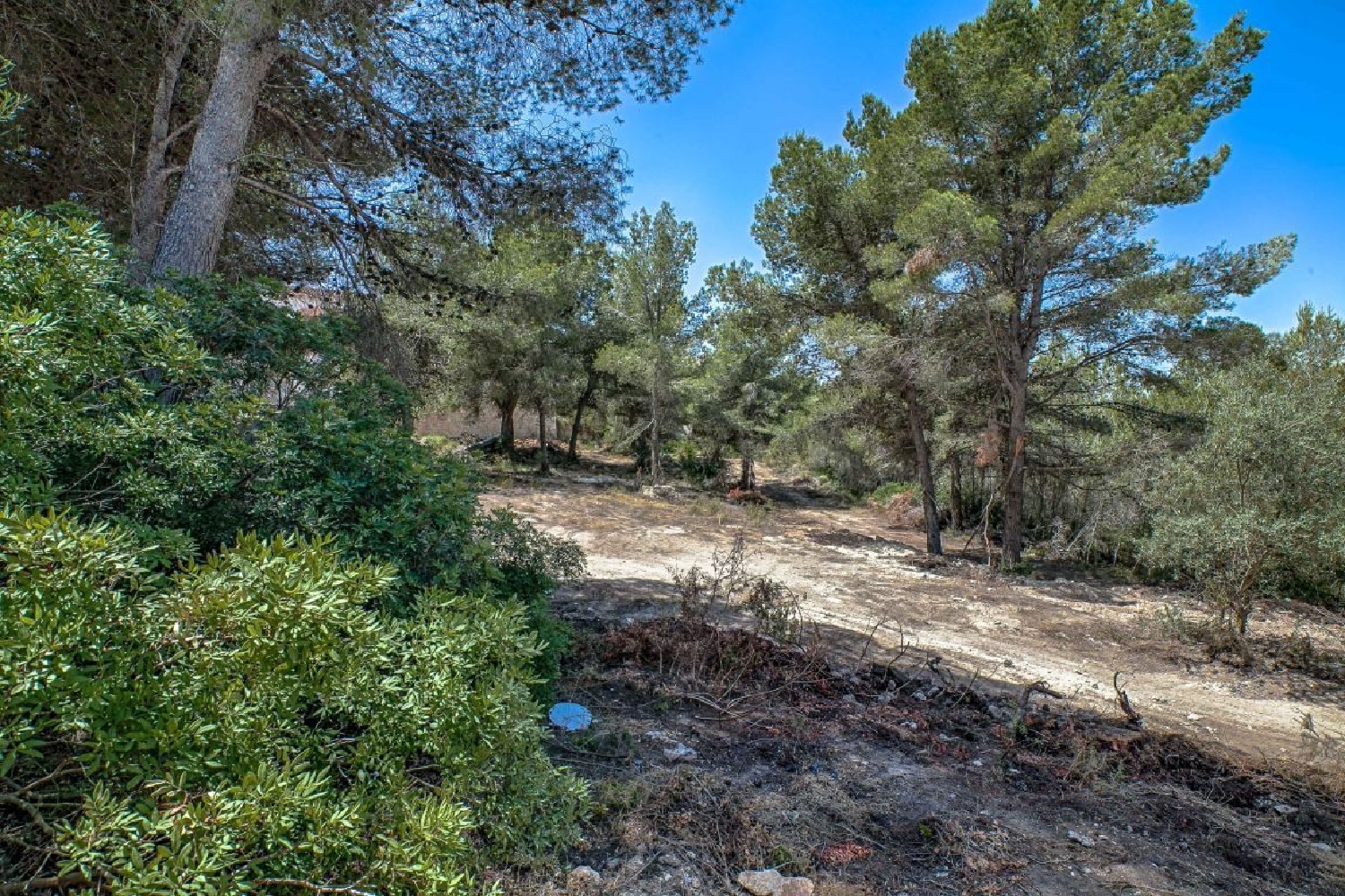  till salu tomt Pinar Del Advocat Marina Alta 5