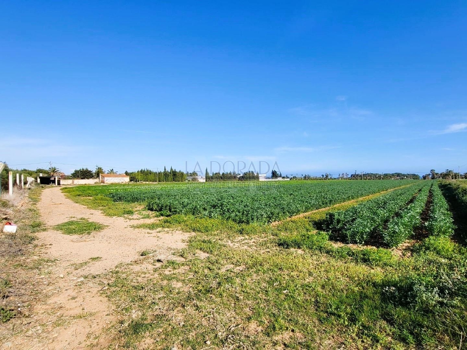  till salu tomt Pinos De Miramar Baix Camp 5
