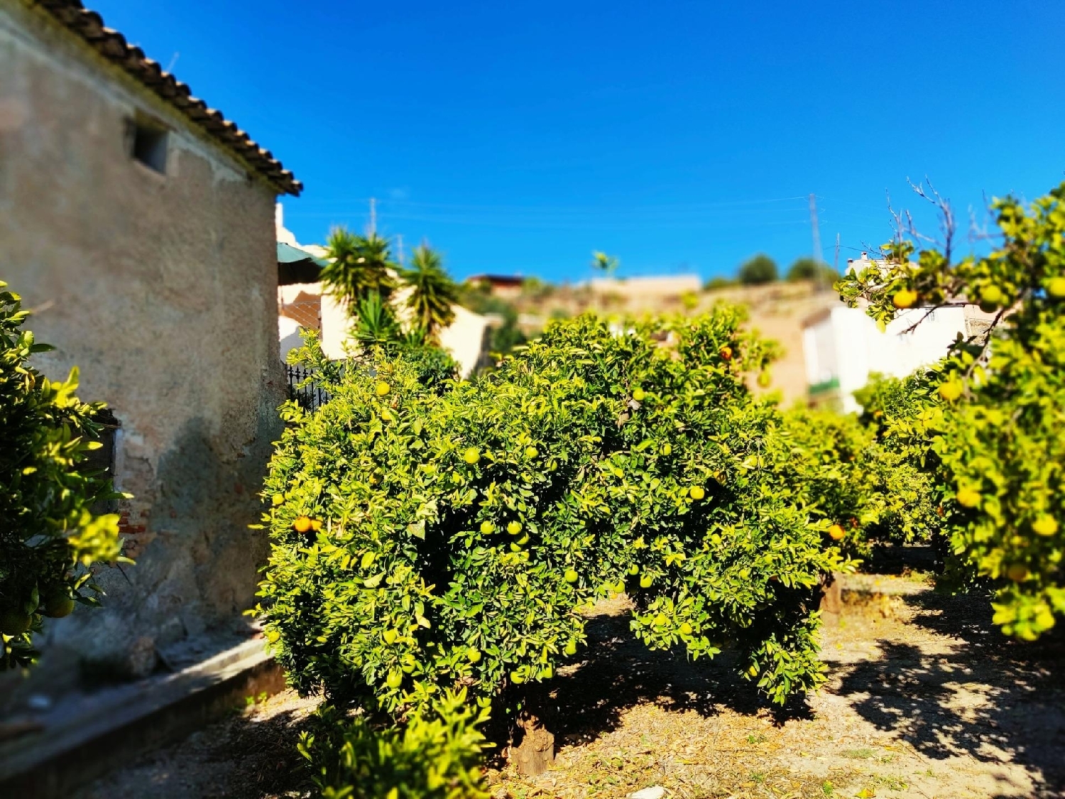  till salu tomt Pinos Del Valle Valle De Lecrín 1