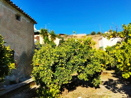 Pinos Del Valle Valle De Lecrín tomt foto 6250492