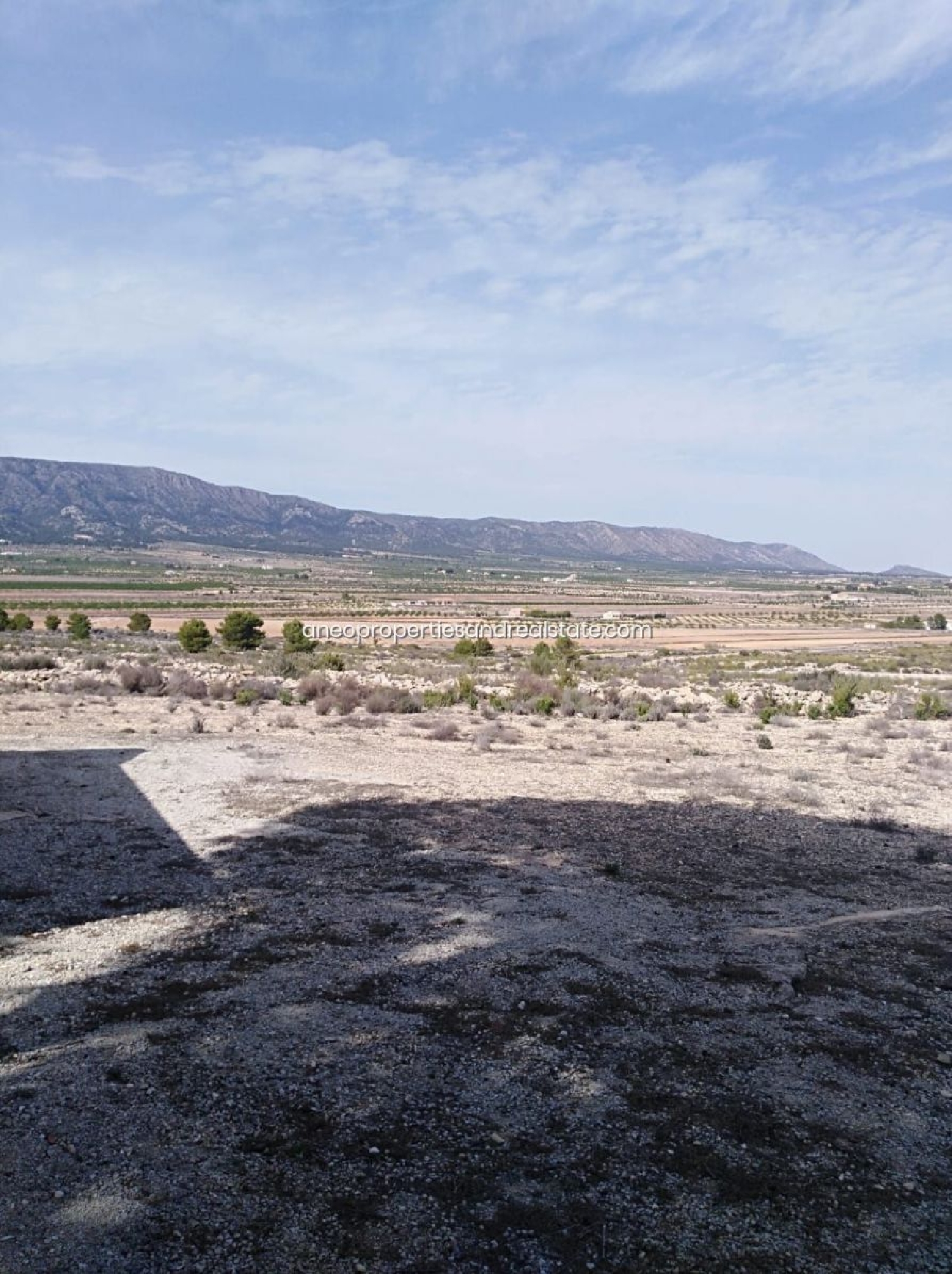 till salu tomt Pinoso Vinalopó Mitjà 6