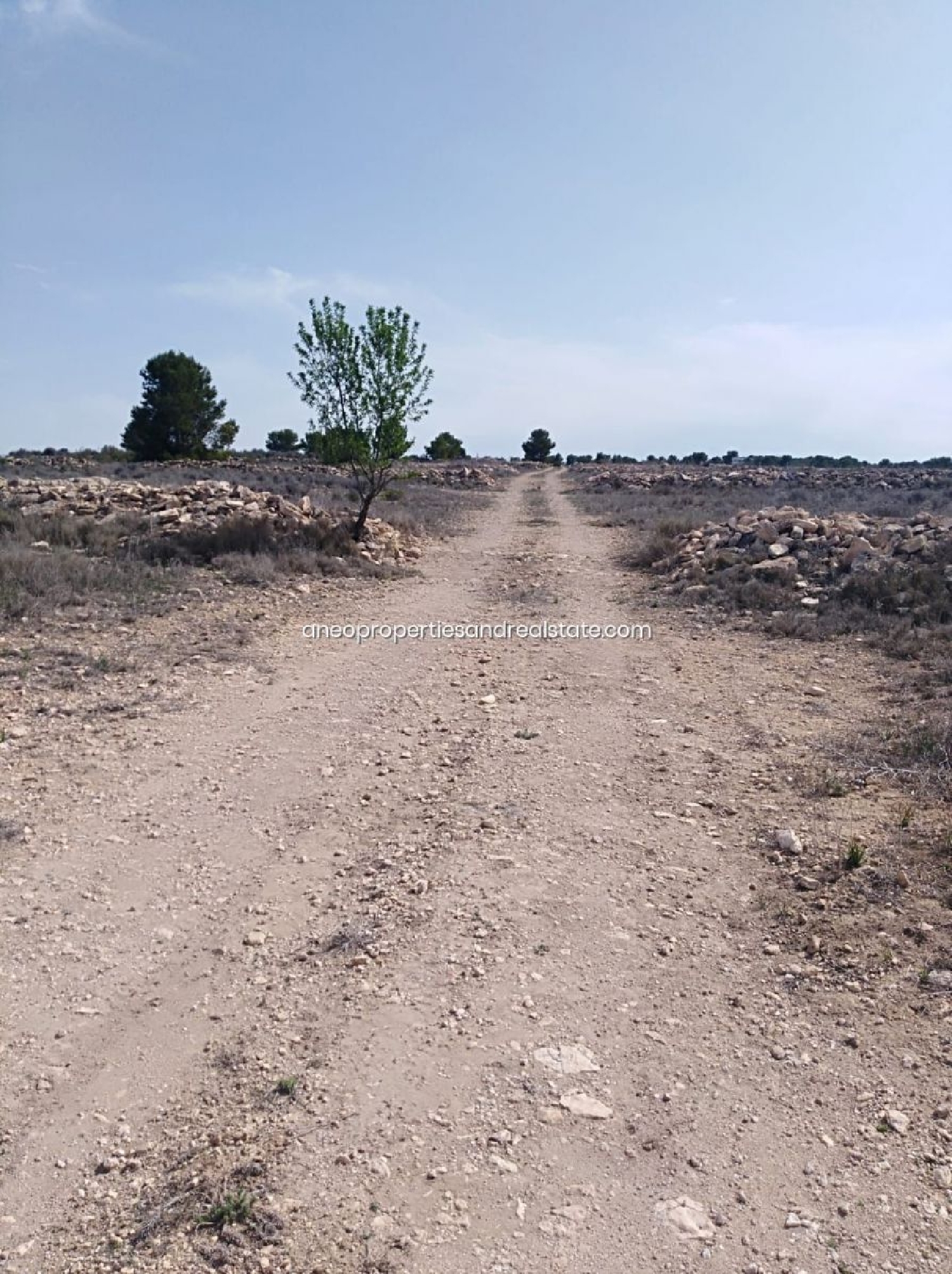 till salu tomt Pinoso Vinalopó Mitjà 2