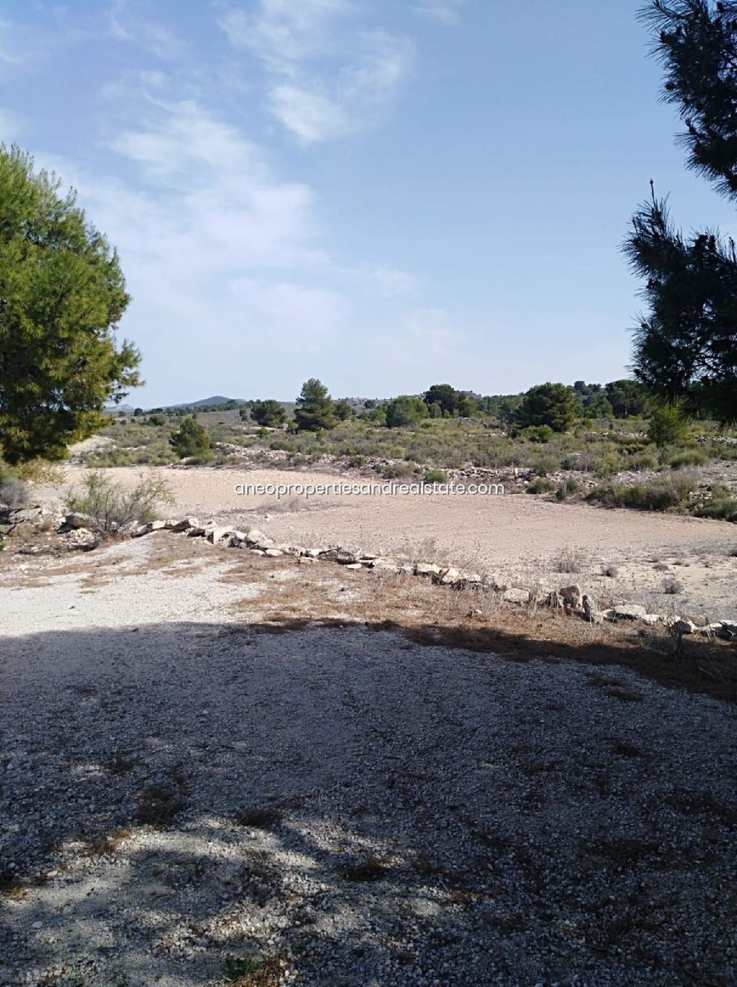  till salu tomt Pinoso Vinalopó Mitjà 4
