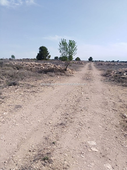 Pinoso Vinalopó Mitjà tomt foto 6260081