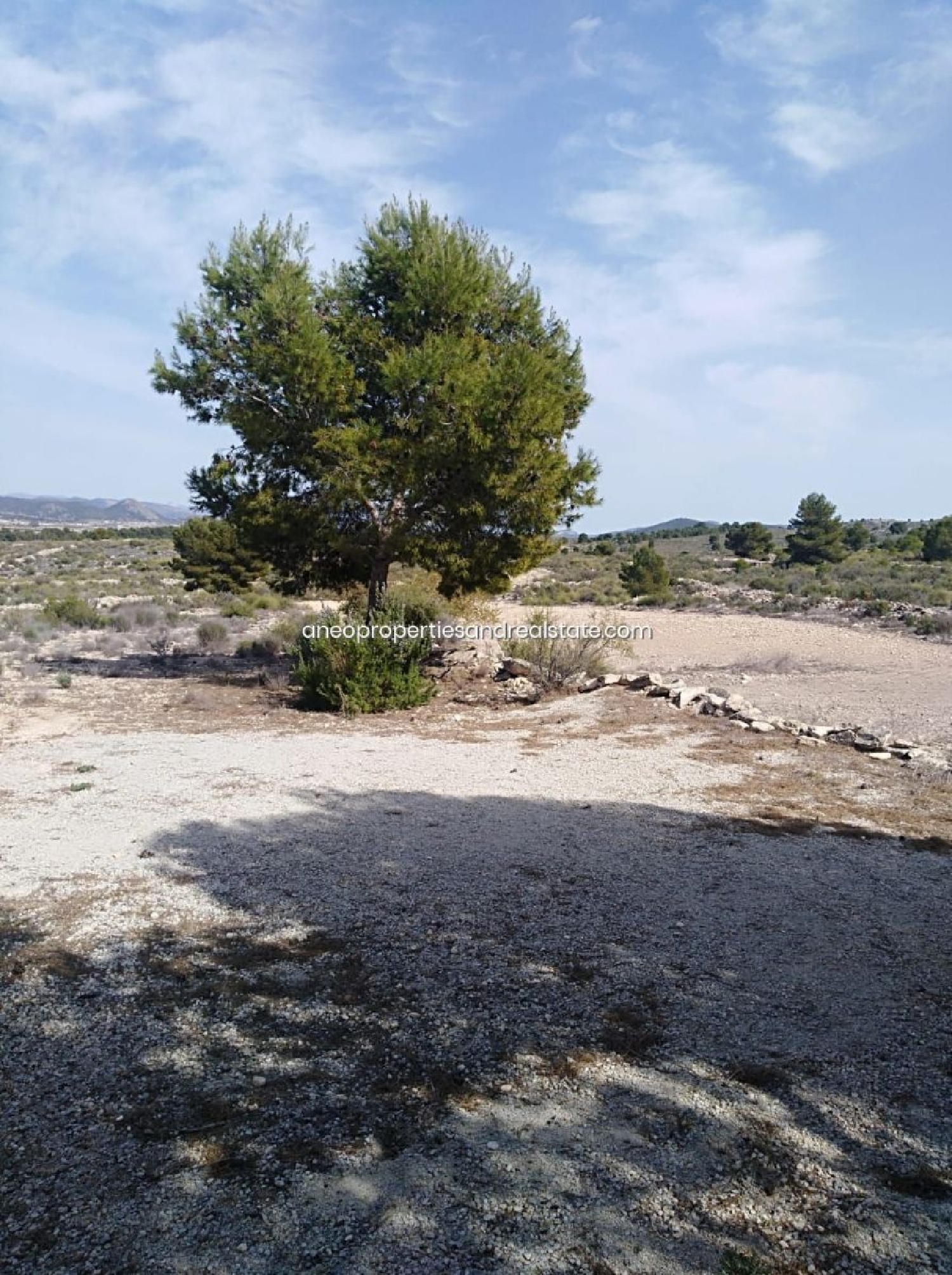  till salu tomt Pinoso Vinalopó Mitjà 5