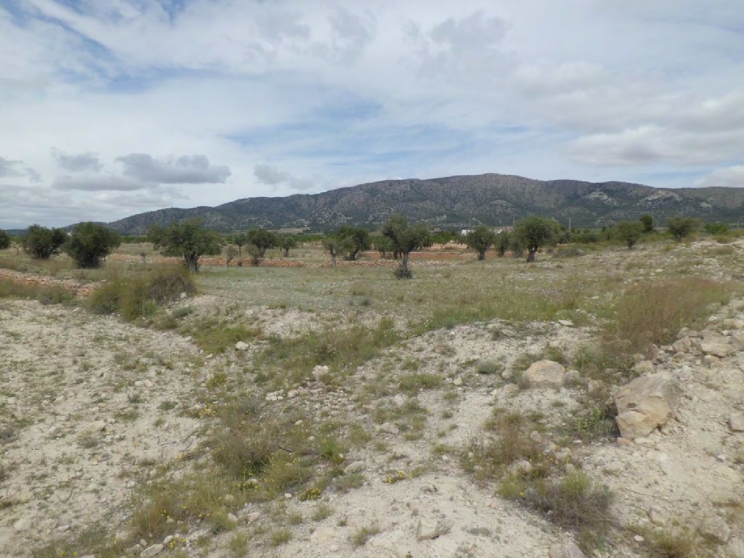 till salu tomt Pinoso Vinalopó Mitjà 2