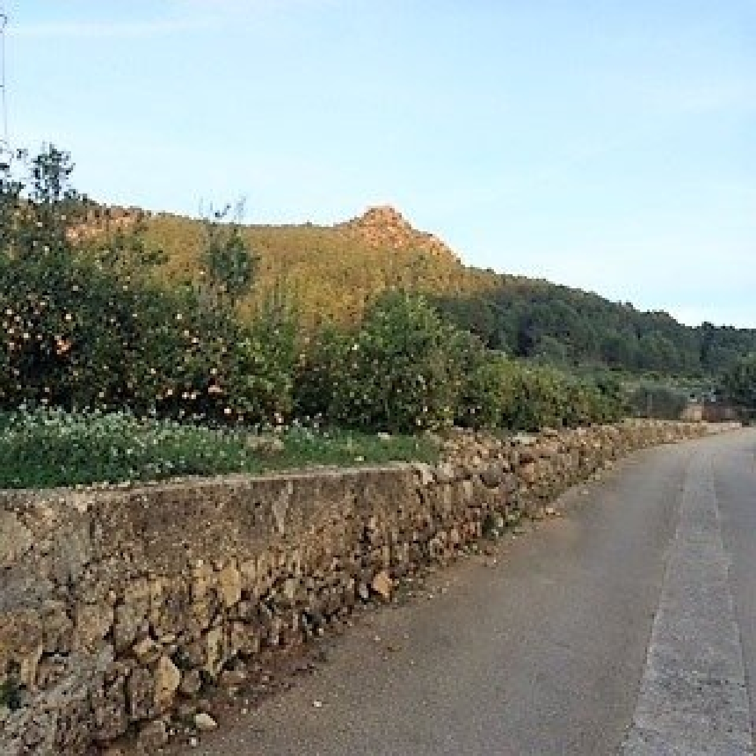  till salu tomt Cogullada Ribera Alta 1