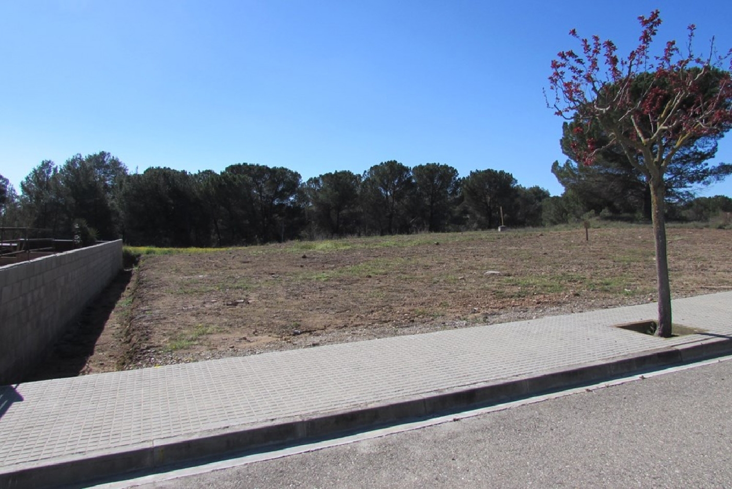  till salu tomt Pla De La Torre Anoia 1