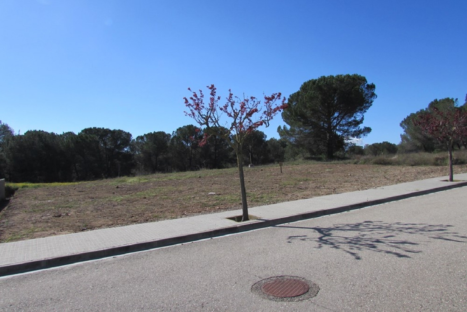 till salu tomt Pla De La Torre Anoia 3
