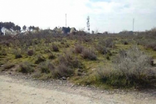 Pla De Montso Segrià tomt foto 6246509