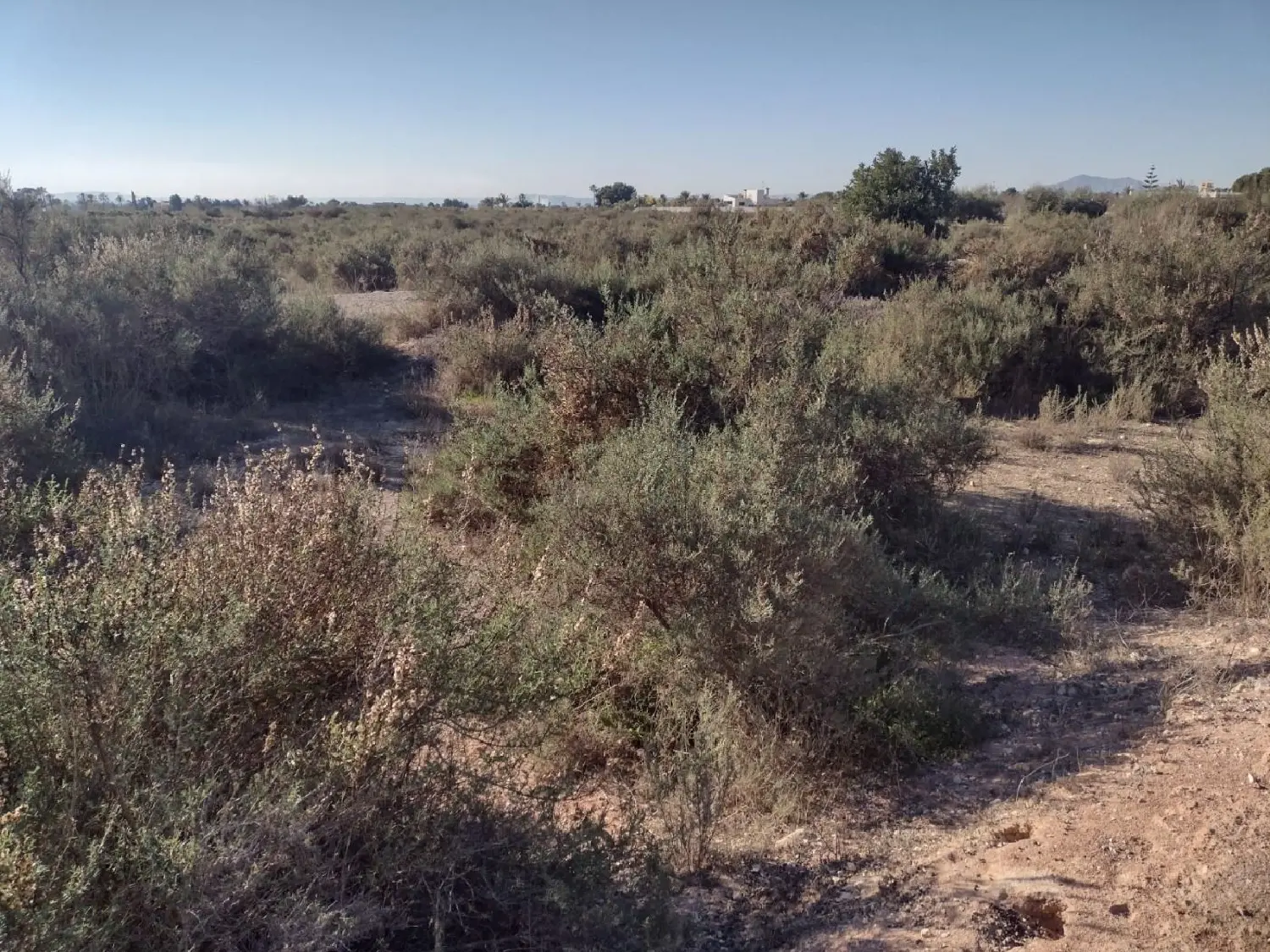  till salu tomt Pla De Sant Josep Baix Vinalopó 1