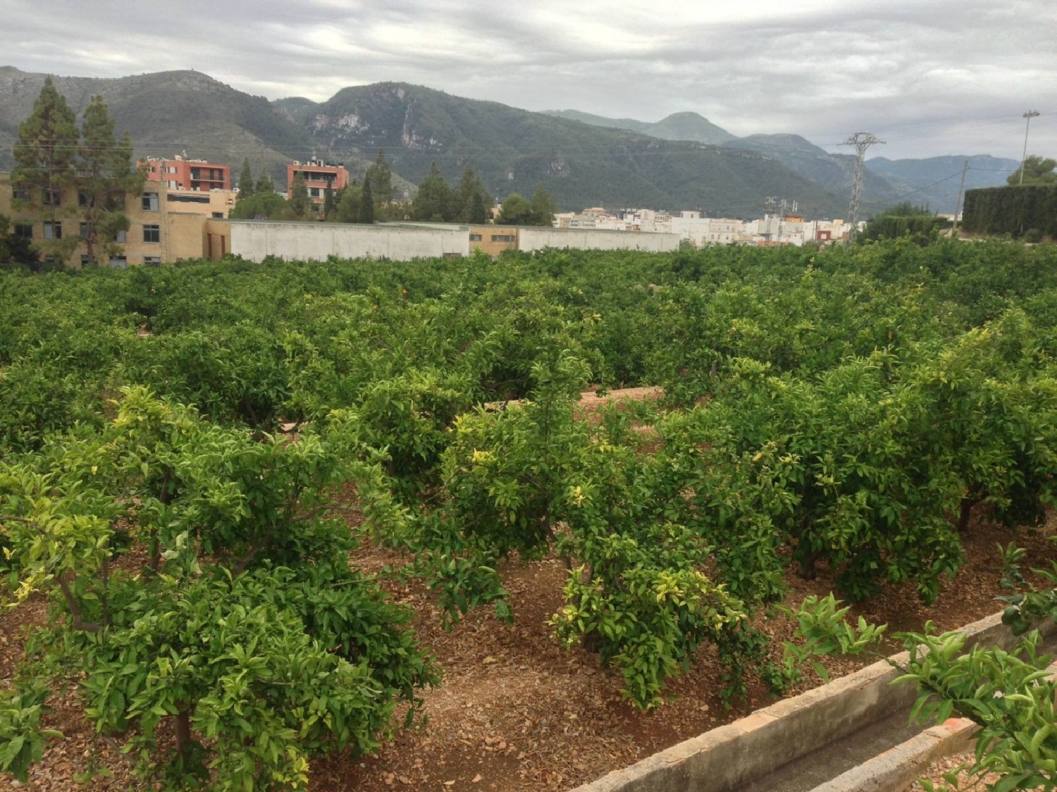  till salu tomt Platja De Tavernes De La Valldigna Safor 7