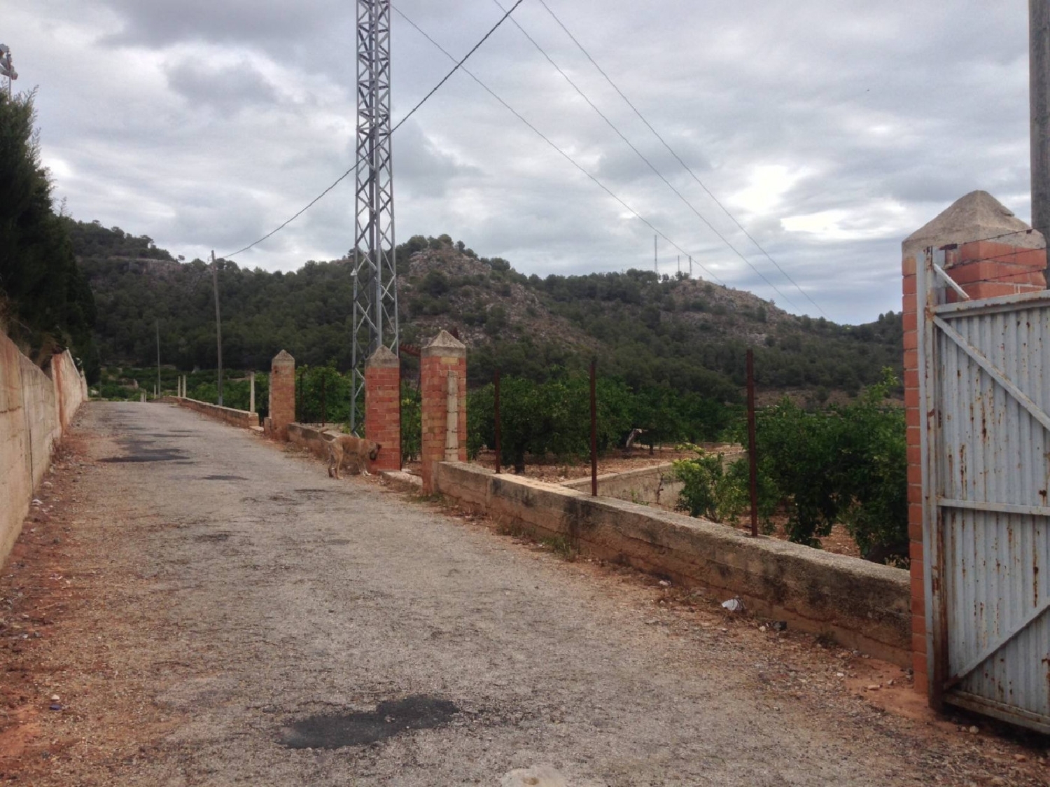  till salu tomt Platja De Tavernes De La Valldigna Safor 3