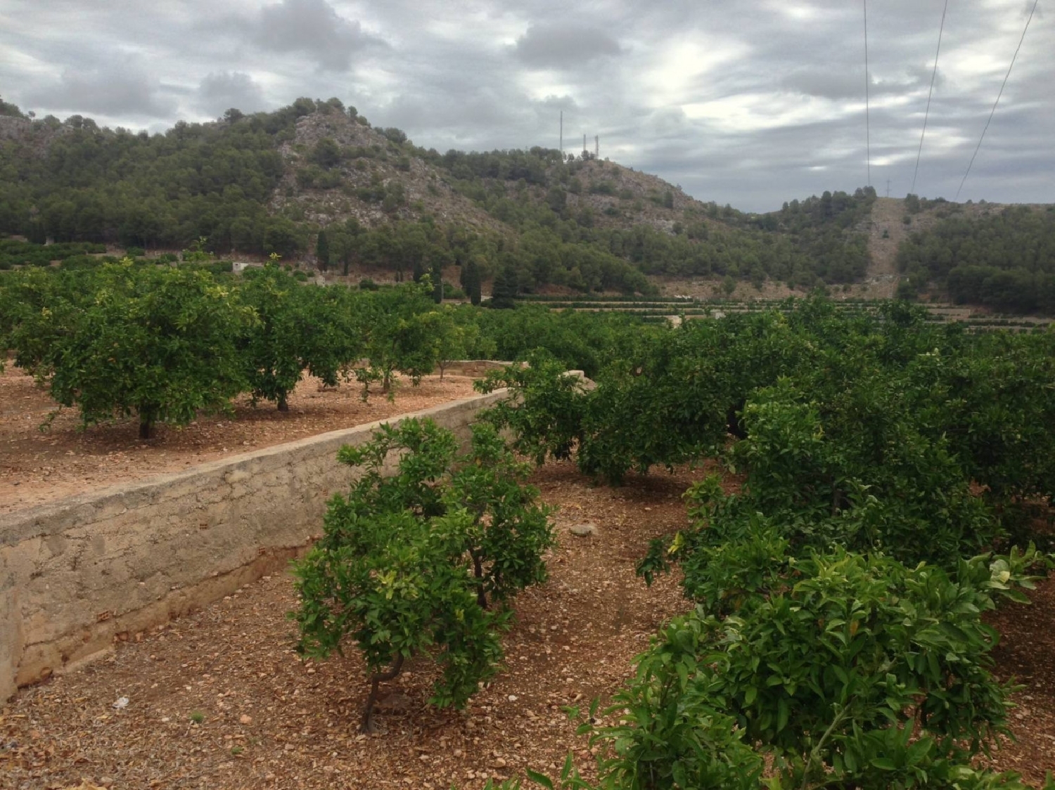  till salu tomt Platja De Tavernes De La Valldigna Safor 4