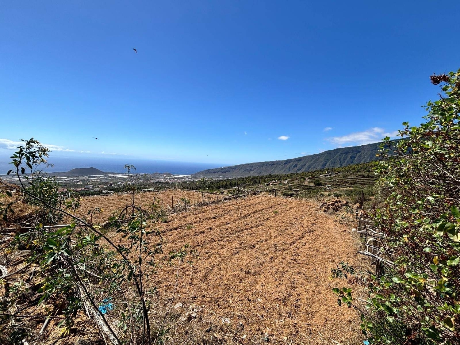  till salu tomt Playa De Lima Zona Sureste 4